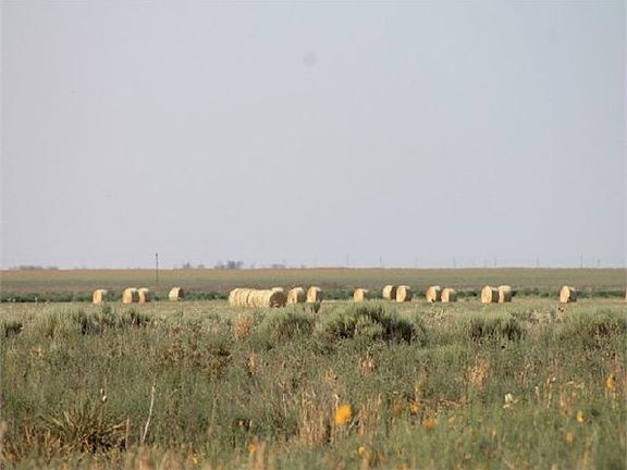 2nd image of 1831 County Road 84