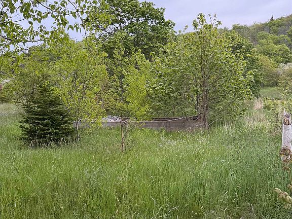 5th image of 262 Trout Cove Rd