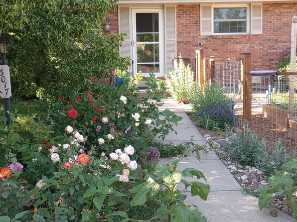 3017 Nevada Pl, Loveland, CO 80538