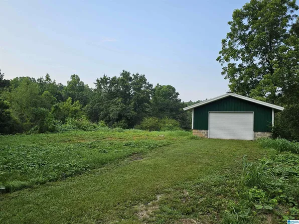 12797 County Road 19 2 3 0 0 #18-21-011.006, Heflin, AL 36264