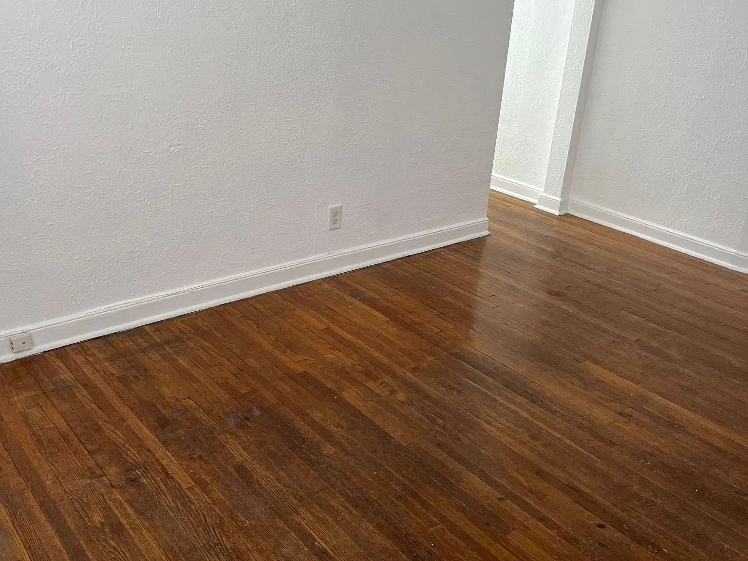 1 bed, 413 sqft, $1,095 — Photo 1
