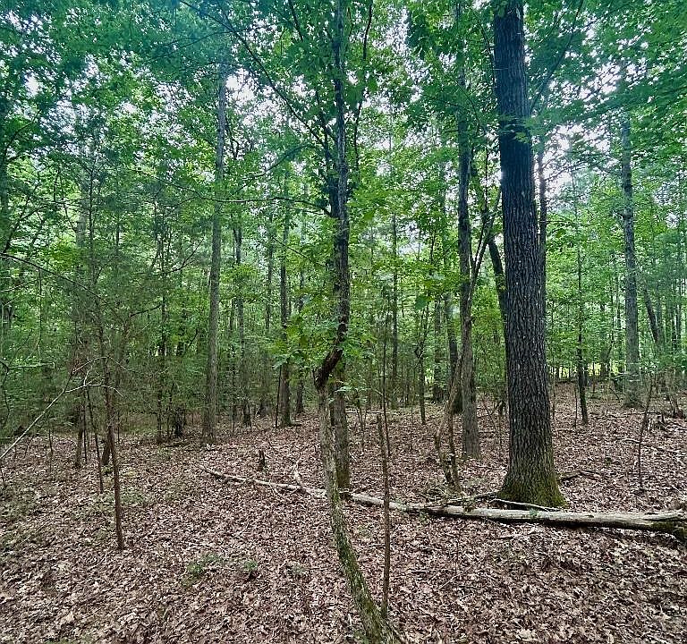 1st image of LOT 2 Twin Elms Lot 2