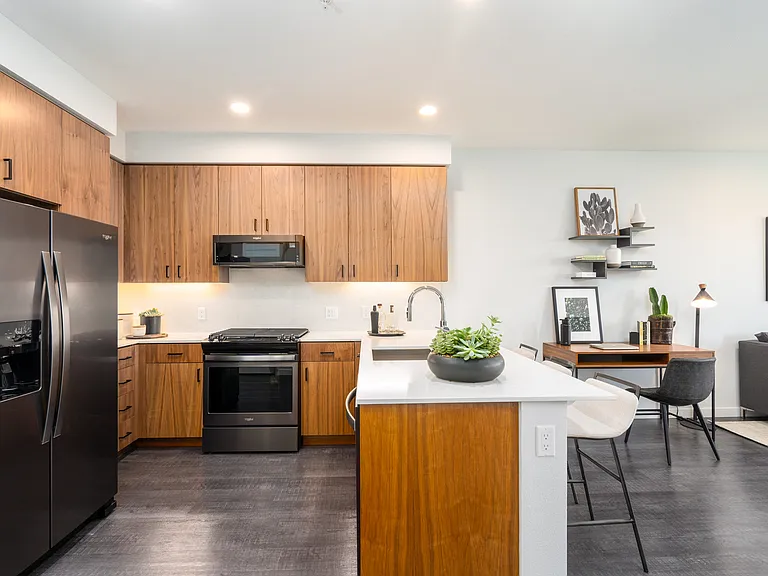 MV Apartments — Photo 13