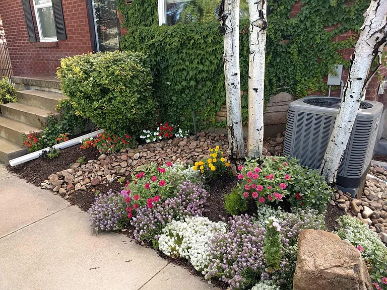 Front yard