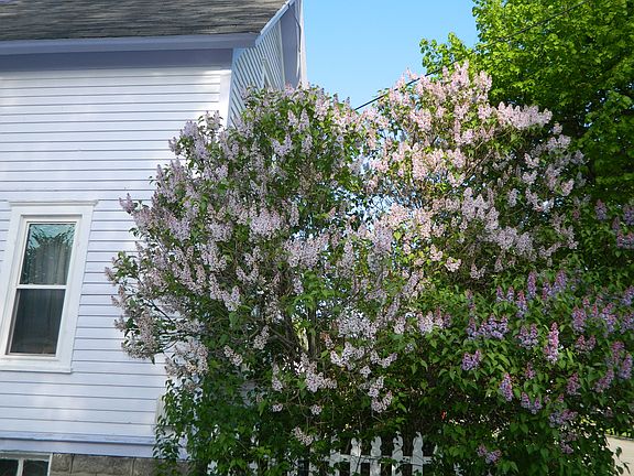 Exterior Spring 2015