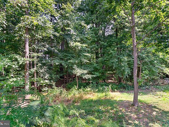 3rd image of 360 Park Ln