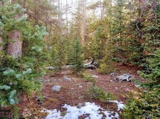 223 Porcupine Rd, Fairplay, CO 80440