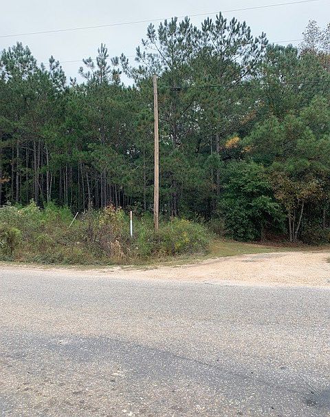 2nd image of 0 County Road 63