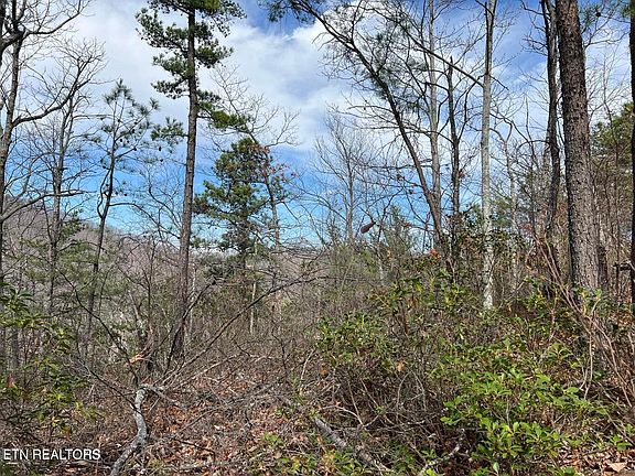 4th image of Chestnut Ridge Ct
