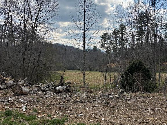 2nd image of TRACT 2 Bull Mountain Rd