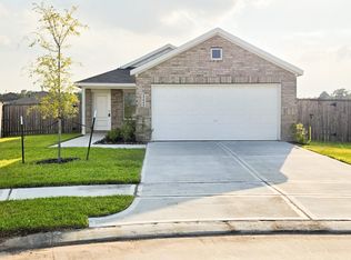 17908 Colle Apone Ct, New Caney, TX 77357