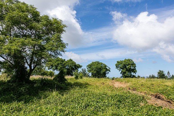 1st image of Puu Kamanu Ln Lot 22-B