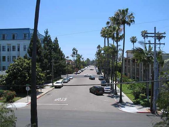 Tree lined street