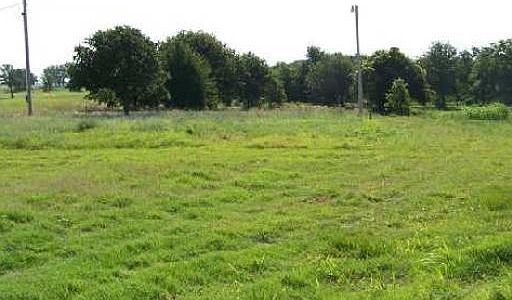 2nd image of 3 Macarthur Ave Tract 3