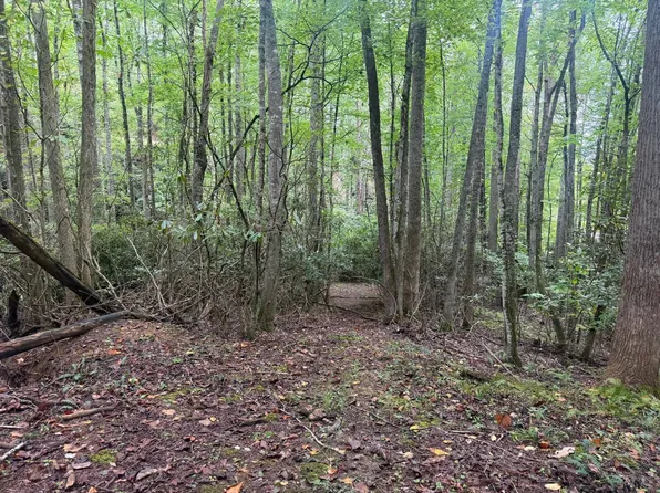 Woodland Hills Dr #55, Elk Park, NC 28622