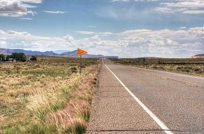 Highway 89 East View