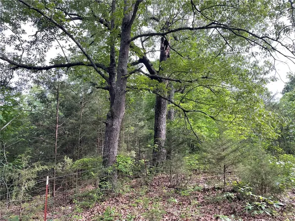 613 N Gaskill St, Huntsville, AR 72740