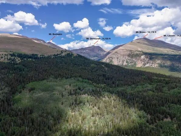 2631 CO Rd 12, Alma, CO 80420
