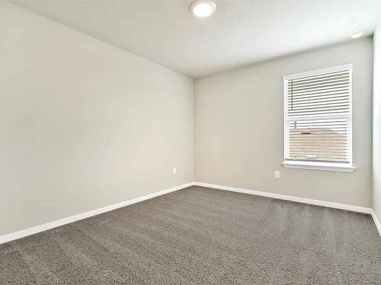 2909 Tweedy Trl — Photo 12
