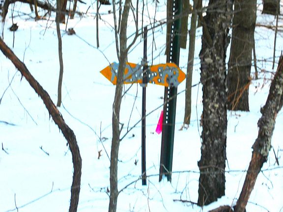 5th image of 1.34 AC Czech Drive