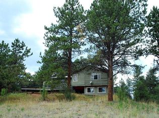 30667 Sunset Trl, Pine, CO 80470