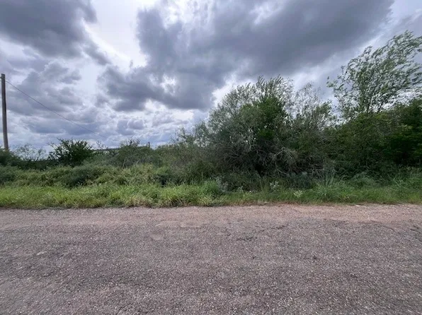 44 Robbie Dr, Hebbronville, TX 78361