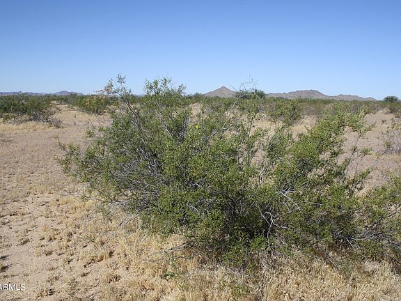 2nd image of 10xx E Old hwy 80 View E #-