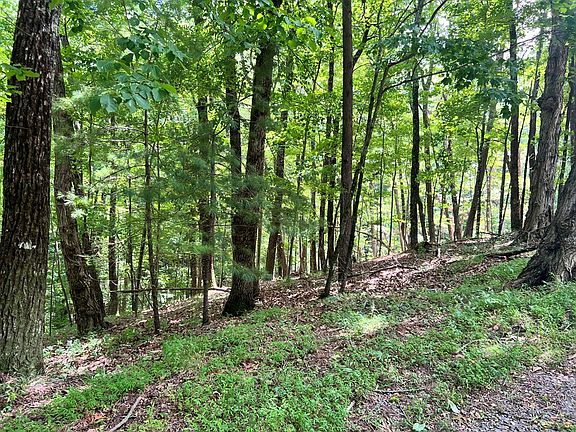 2nd image of Ltg67 68 Mountain Oak Rd