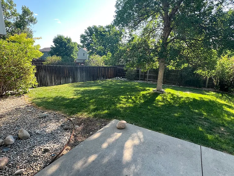 Back yard