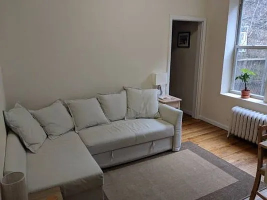 Rented by NY Living Solutions | media 14