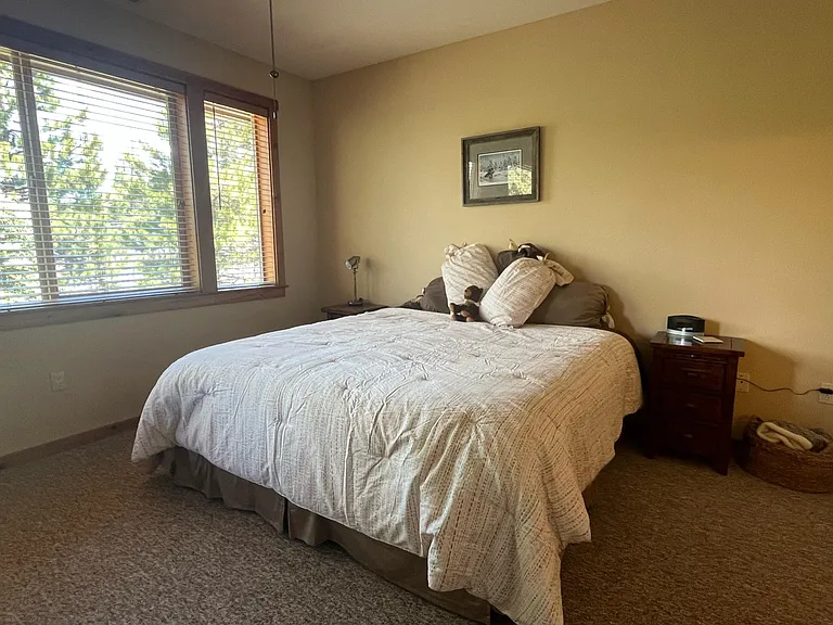 11420 Dolomite Way — Photo 11