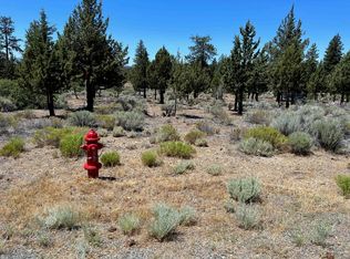 2 Lakeside Ct LOT 30, Weed, CA 96094