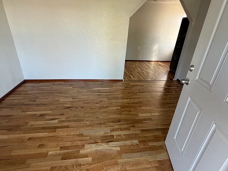 2904 S Indiana Ave #3 — Photo 3