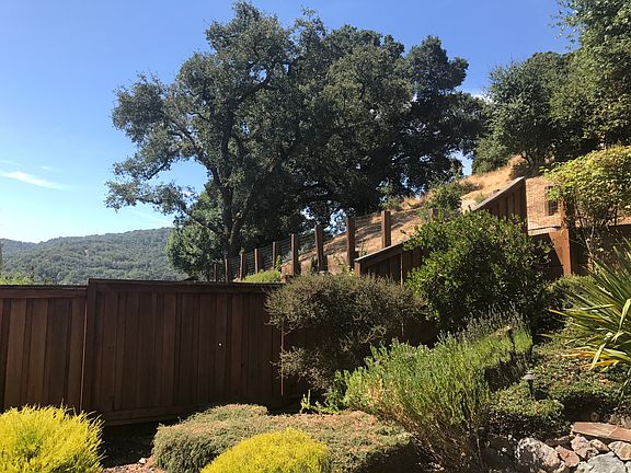 View from back terrace