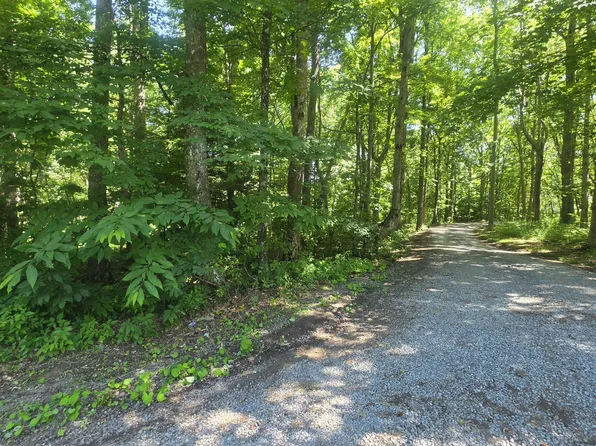 Tbd Forest Rd, Coeburn, VA 24230