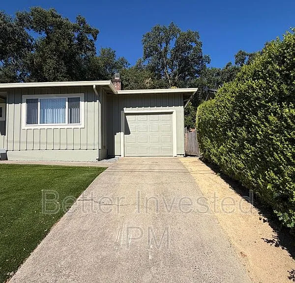 206 Rosemary Ln — Photo 11