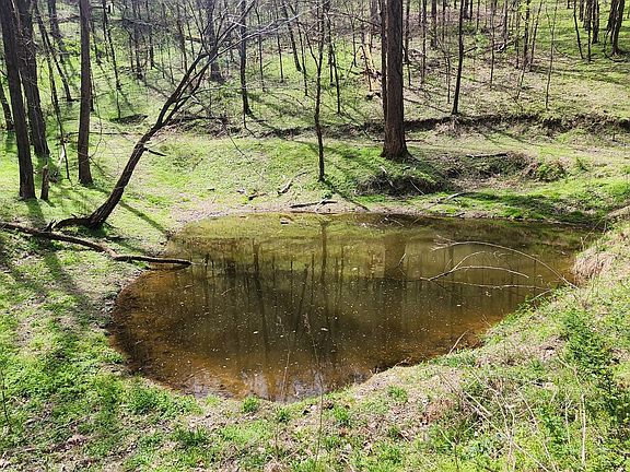 3rd image of 950 Chapman Hollow Rd