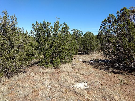 2nd image of 8546 Silver Creek Dr
