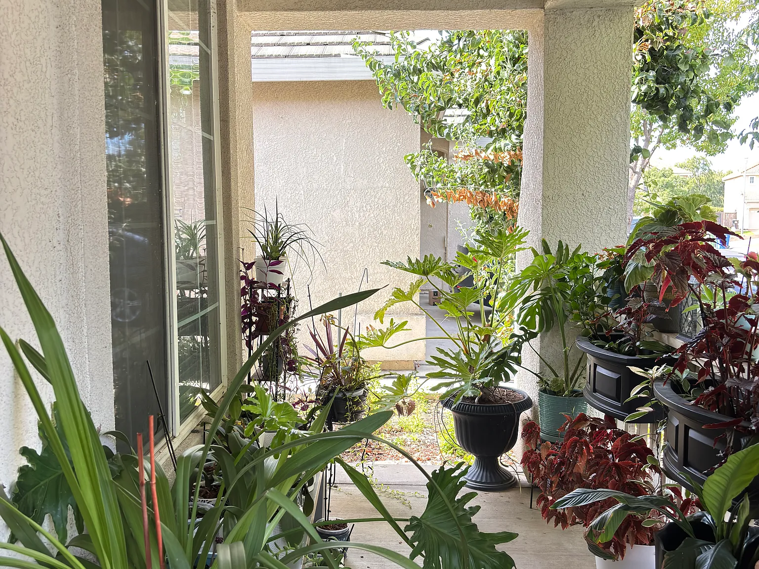 5 bed, 1715 sqft, $3,358 — Photo 3