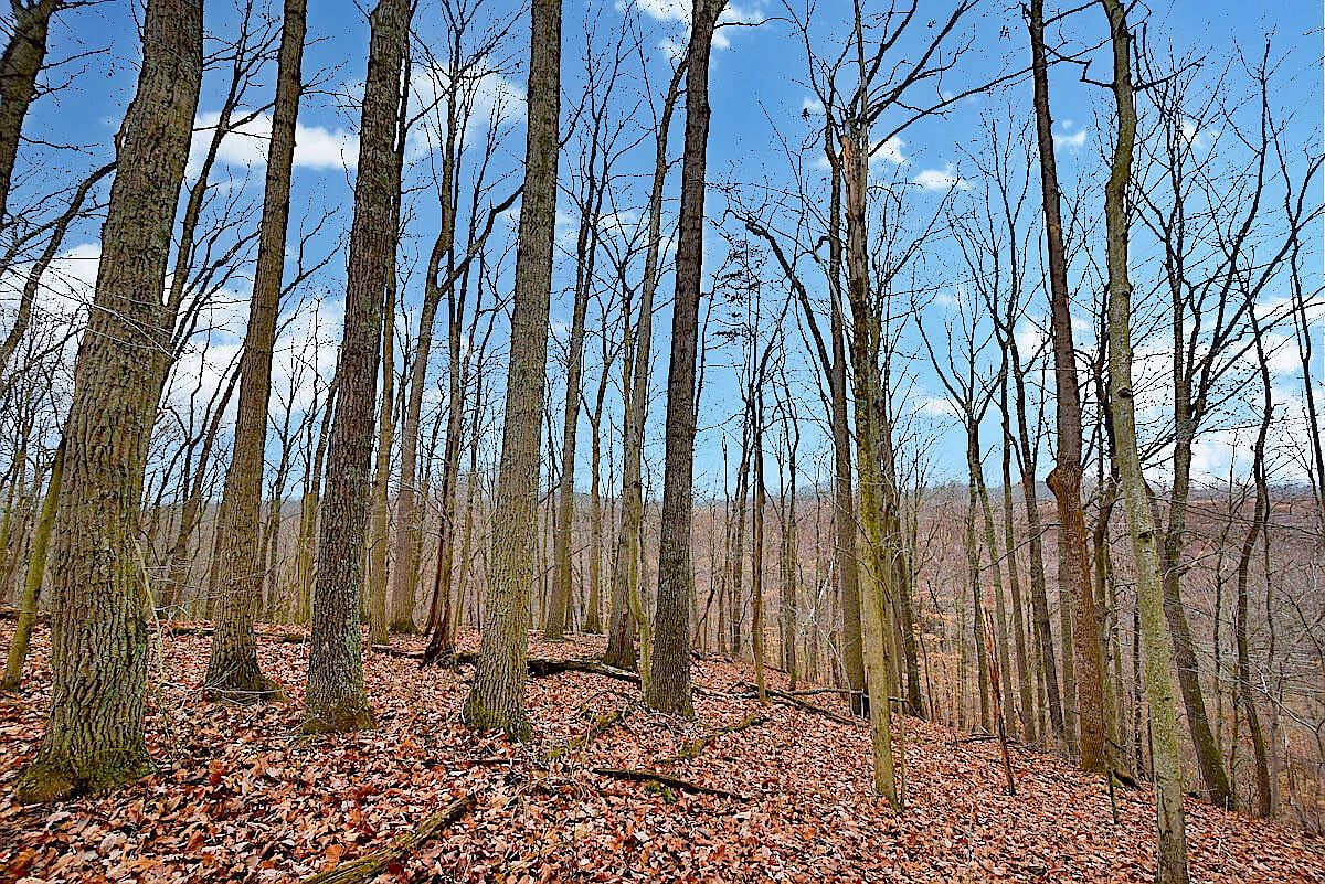 0 Buck Run Rd, Langsville, OH 45741 MLS 11239399 Zillow