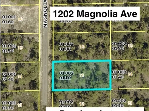 1202 Magnolia Ave, Lehigh Acres, FL 33972