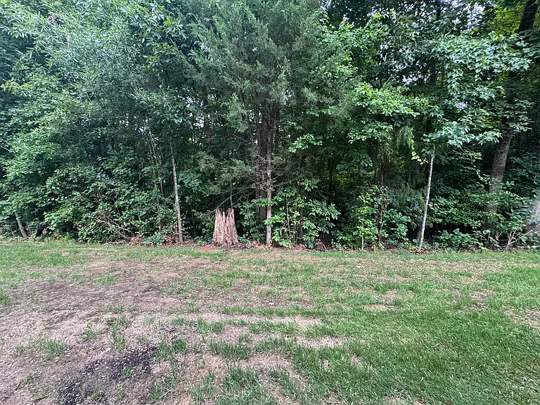 16205 Annahill Ct — Photo 19