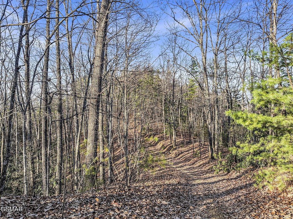 1st image of 3519 Forest Trails Dr #R