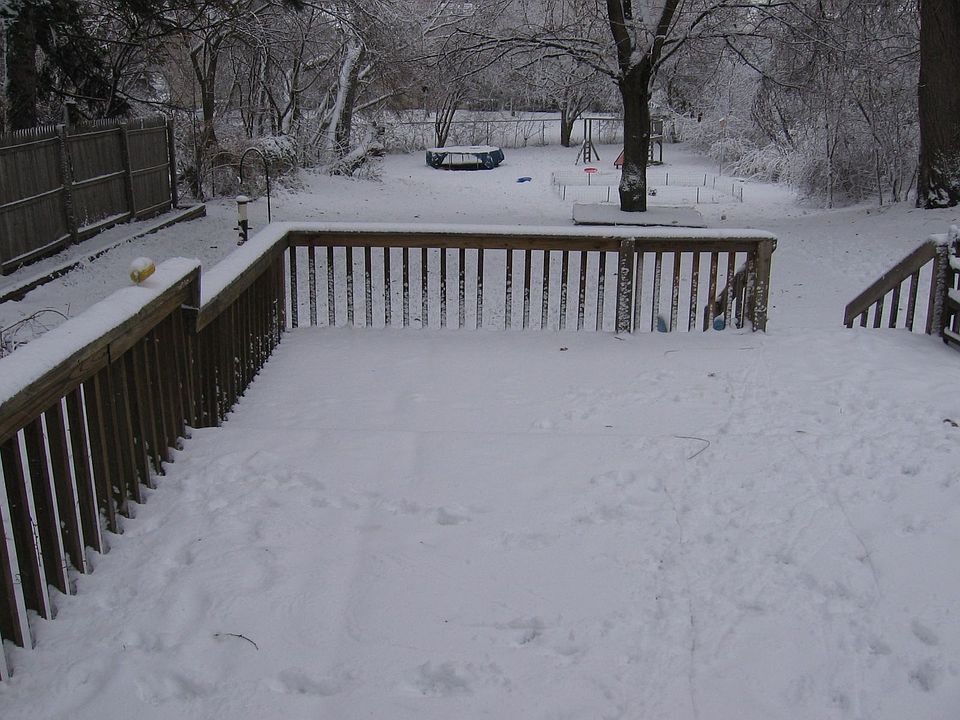 Winter 2006 - Back Yard