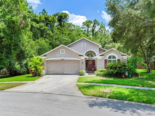 12502 Blazing Star Dr, Tampa, FL 33626