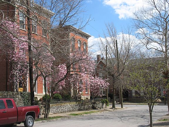 Tree lined street, looking South