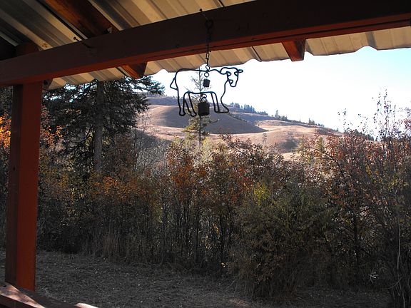 View from Back Porch