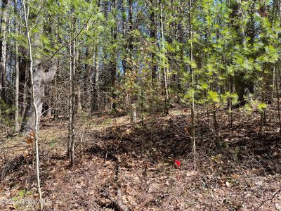 L17.1 Locarno Street, Lake Luzerne, NY, 12846