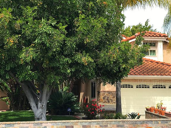 3rd image of 1085 La Tortuga Dr