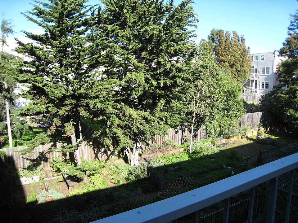 Shared Garden